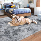 Rugs for Living Room 6x9, Soft Shaggy Modern Shag Area Rug for Bedroom, Upgrade Non-Slip Plush Fluffy Carpet for Kids Boys Girls Room Home Decor Aesthetic, Light Grey