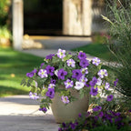 Artificial Fake Flowers Plants for Outdoor Decoration, 2PCS Faux Petunias Silk Flower UV Resistant No Fade for Home Outside Garden Balcony Yard Porch Realistic Indoor Decor (Purple White)