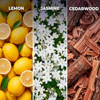 Inspired by Day Dream DD10 Hotel Scent Diffuser Oil | 5.07 Fl oz (150 ml) - Waterless Diffuser Oil Refill & Highly Concentrated Fragrance Oil, Diffuser Oil Scents, Hotel Oil Diffuser