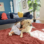 OLANLY 5x8 Machine Washable Large Area Rugs for Living Room, Bedroom, Soft Fluffy Shaggy Bedside Rug, Indoor Floor Carpet for Kids Girls and Boys, Dorms, Nursery, Home Decor Aesthetic, Rust Red