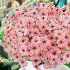 MACTING Artificial Flowers for Outdoors 6 Bundles Fake Spring Flowers UV Resistant No Fade Faux Plastic Flowers for Hanging Planters Window Patio Porch Yard Garden Indoor Outside Decoration,Pink