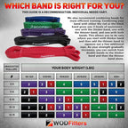 WODFitters Pro Series Pull-Up Assistance Bands – Premium Resistance Loop Bands for Assisted Pull Ups, Muscle Ups, Strength Training & Mobility – Durable Bands for Functional Fitness