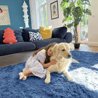 OLANLY 8x10 Machine Washable Large Area Rugs for Living Room, Bedroom, Soft Fluffy Shaggy Bedside Rug, Indoor Floor Carpet for Kids Girls and Boys, Dorms, Nursery, Home Decor Aesthetic, Blue