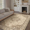 Brown Area Rug 9x12 Washable Vintage Carpet for Living Room Bedroom Large Soft Retro Low Pile Thin Indoor Rug Non Slip Oriental Medallion Floor Cover for Dining Room Office