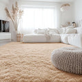 OLANLY 7x10 Machine Washable Large Area Rugs for Living Room, Bedroom, Soft Fluffy Shaggy Bedside Rug, Indoor Floor Carpet for Kids Girls and Boys, Dorms, Nursery, Home Decor Aesthetic, Beige