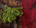 Unique Loom Barista Collection Area Rug - Kouillou (2' 2" x 3' 1" Rectangle, Multi/ Brown)