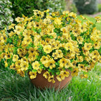 Artificial Flowers for Outdoors Daisy 12 Bundles for Home Decoration, Faux Flower Fake Plants Outside Decoration with Eucalyptus UV Resistant for Planter Porch Patio Yard Garden Yellow