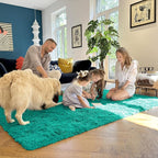 OLANLY 8x10 Machine Washable Large Area Rugs for Living Room, Bedroom, Soft Fluffy Shaggy Bedside Rug, Indoor Floor Carpet for Kids Girls and Boys, Dorms, Nursery, Home Decor Aesthetic, Teal Green