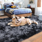 Rugs for Bedroom 4x6, Soft Shaggy Modern Shag Area Rug for Living Room, Upgrade Non-Slip Plush Fluffy Carpet for Kids Boys Girls Room Home Decor Aesthetic, Dark Grey