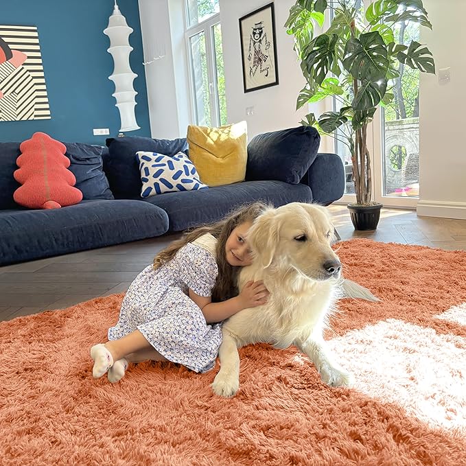 OLANLY 3x5 Machine Washable Small Bedside Rug, Soft Fluffy Shaggy Rugs for Living Room, Bedroom, Indoor Floor Carpet for Kids Girls and Boys, Preppy Dorms, Nursery, Home Decor Aesthetic, Muted Orange