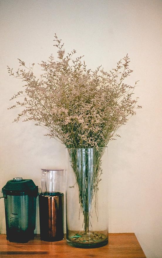 WGV Cylinder Vase, Diameter 5", Height 10", Clear Glass Floral Planter Container, Floating Candle Holder for Wedding Party Event Home Office Decor, 1 Piece
