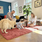 OLANLY 5x7 Machine Washable Large Area Rugs for Living Room, Bedroom, Soft Fluffy Shaggy Bedside Rug, Indoor Floor Carpet for Kids Girls and Boys, Dorms, Nursery, Home Decor Aesthetic, Rust Red