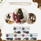 Trumiri Woody Incense Cones - Variety Pack - Total 60 Cone Incense (6 Scents x 10 Conos) - White Sage, Palo Santo, Dragons Blood, Sandalwood - Inscents-Cones Scented - Insense Cones - Incent Cone