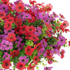 Artificial Fake Flowers Plants for Outdoor Spring Decor, 12 Bundles Faux Silk Flowers for Outdoor Outside Planter Colorful Daisy UV Resistant Look Real for Front Door Porch Patio Yard(Red Purple)