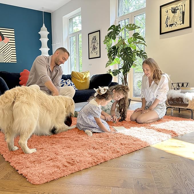 OLANLY 6x9 Machine Washable Large Area Rugs for Living Room, Bedroom, Soft Fluffy Shaggy Bedside Rug, Indoor Floor Carpet for Kids Girls and Boys, Dorms, Nursery, Home Decor Aesthetic, Muted Orange