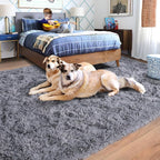 Rugs for Living Room 6x9, Soft Shaggy Modern Shag Area Rug for Bedroom, Upgrade Non-Slip Plush Fluffy Carpet for Kids Boys Girls Room Home Decor Aesthetic, Grey
