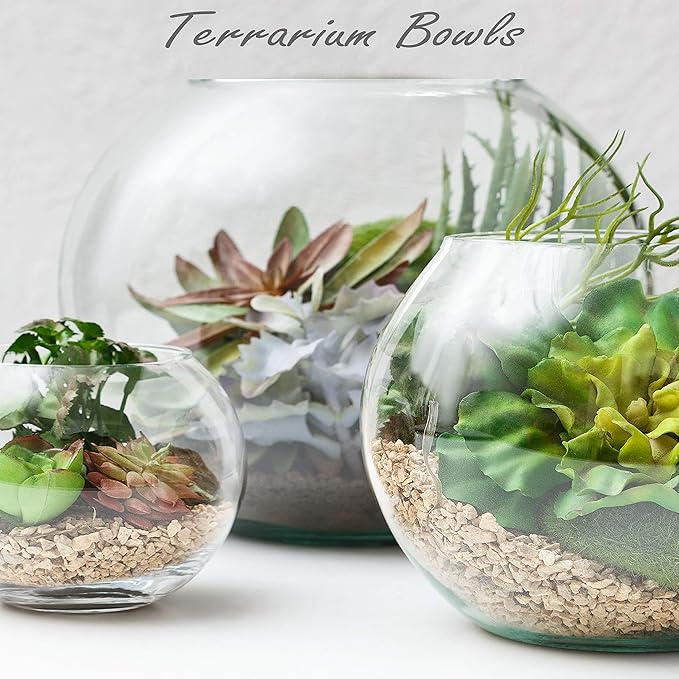 CYS EXCEL Glass Bubble Bowl (H-7.5" W-10", Approx. 2 Gal.) Multiple Size Choices Fish Bowl Vase Glass Round Bowl Terrarium Globe Flower Vase Centerpiece