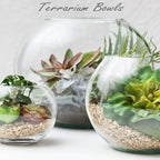 CYS EXCEL Glass Bubble Bowl (H-7.5" W-10", Approx. 2 Gal.) Multiple Size Choices Fish Bowl Vase Glass Round Bowl Terrarium Globe Flower Vase Centerpiece