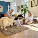 OLANLY 9x12 Machine Washable Large Area Rugs for Living Room, Bedroom, Soft Fluffy Shaggy Bedside Rug, Indoor Floor Carpet for Kids Girls and Boys, Dorms, Nursery, Home Decor Aesthetic, Taupe