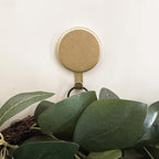 Haute Decor Attract Magnetic Hanger 10 lb Capacity 1-Pack (Textured Gold)